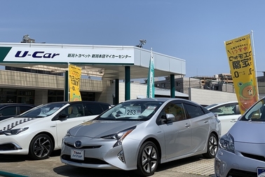 新潟本店