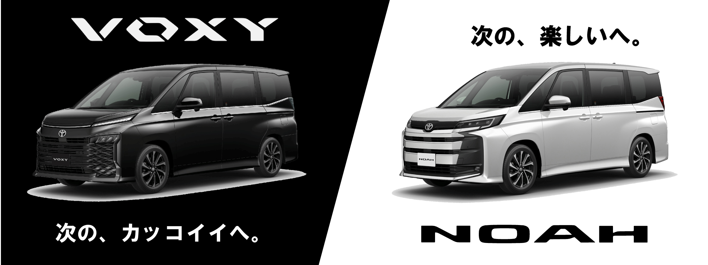 NOA/VOXY(PC)