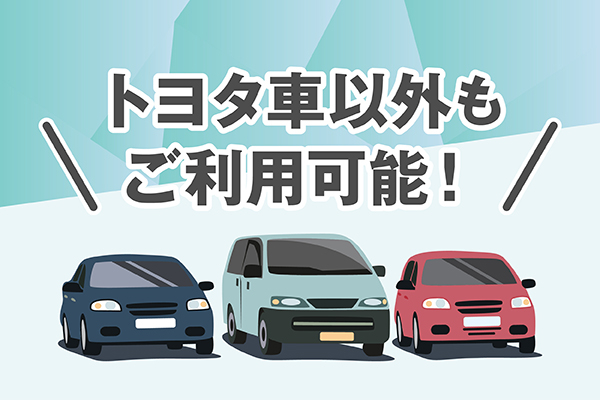 TEEMOページ_トヨタ車以外